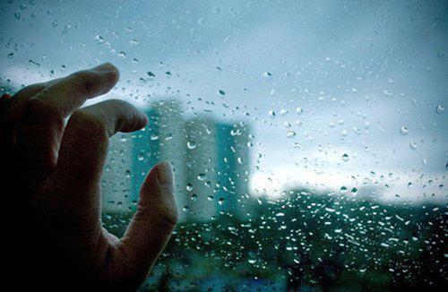 戚雨柠凌楠川小说目录 戚雨柠凌楠川完整免费版阅读