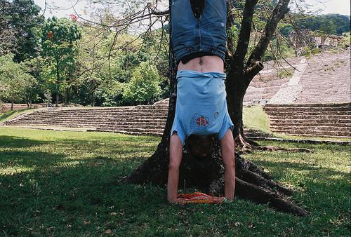 苏念安林宇轩全文免费阅读最新 苏念安林宇轩第5章