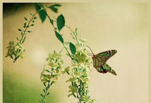 最新章节离婚后孕吐，禁欲总裁彻底失控：优质（宁汐傅景琛）_离婚后孕吐，禁欲总裁彻底失控：优质宁汐傅景琛最新章节