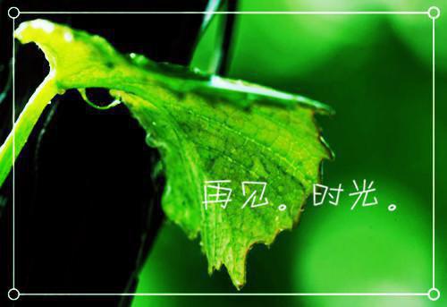 陆淮安谭明珠免费全本小说 陆淮安谭明珠章节目录