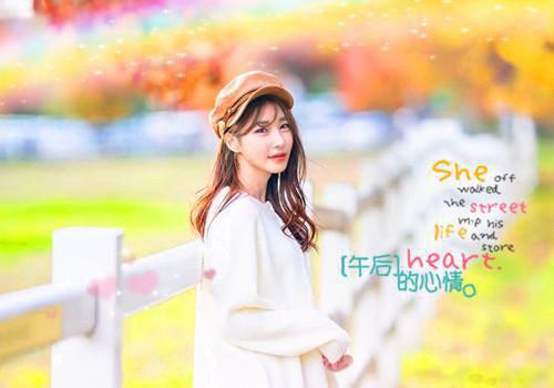 爱恋与夕阳同沉(夏知秋周嘉树林晚栀)无弹窗阅读