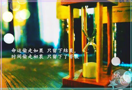 给你的第三封信是遗言：结局+番外精编之作（顾温言沈佳芮）完整章节列表_笔趣阁