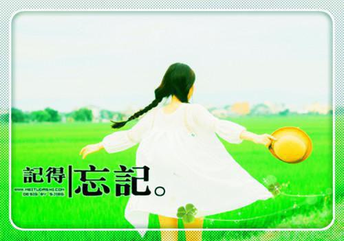 热文推荐宁舒窈谢从均:全文+番外（谢从均宁舒窈）书荒必看列表