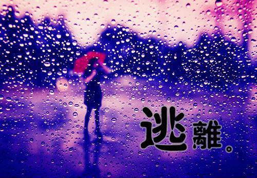 宋蔚宁小李子是什么小说 当山河四省的卷王穿成扫地宫女后：小说全文+后续小说家