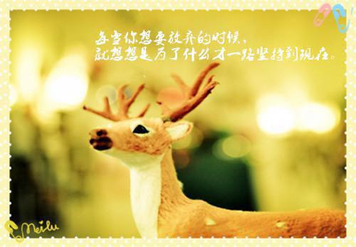 元酒雍长殊小说(玄门小祖宗修仙回来了)（元酒雍长殊）全书+后续+结局在线阅读