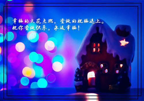 不知风雨潇潇下(结局) 温舒梨陆恒洲免费阅读全文
