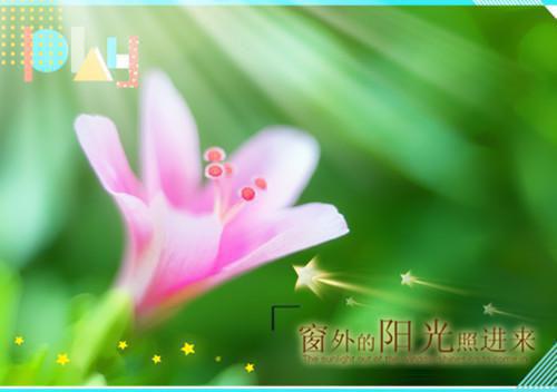 堪得回首误东风白浣清傅云城小说(完整)免费阅读