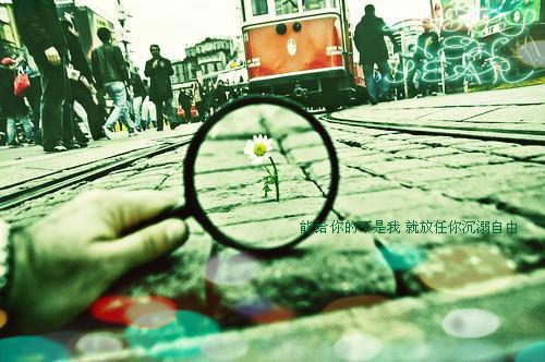 苏晚凝陆景淮小说免费试读 苏晚凝陆景淮第4章