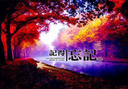 全本朝朝暮暮不相逢（姜栩若顾辞澜）最新章节列表_全本朝朝暮暮不相逢全文阅读