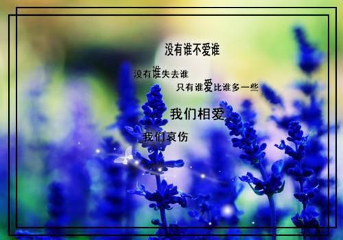 楚沐惜傅澈云第2章 楚沐惜傅澈云小说免费阅读