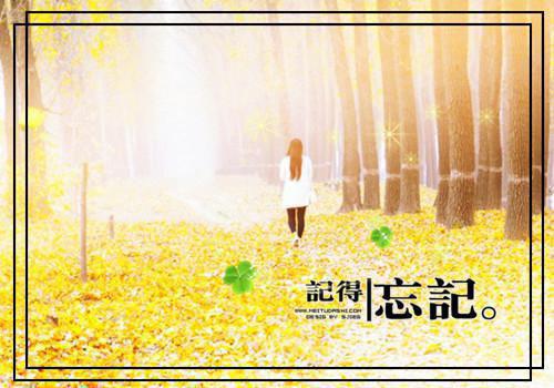 傅红雪叶沐晚林辰免费阅读无弹窗 傅红雪叶沐晚林辰最新章节