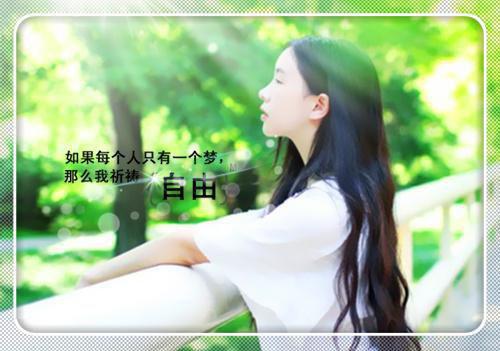 何如明月自由人赵临渊沈如玉全文阅读(完整版)