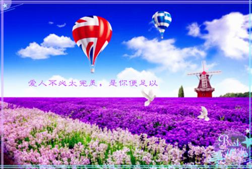 产检报告一切正常，全家却都盼着我去死：+后续+结局（师成安茵茵）最新章节列表_产检报告一切正常，全家却都盼着我去死：+后续+结局（师成安茵茵）结局篇+番外在线阅读