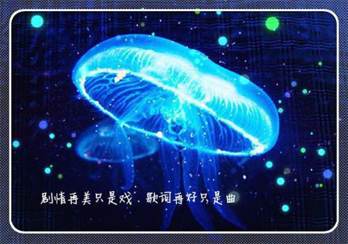 未婚夫给我穿伴娘服，却给小青梅定制百万婚纱林听晚陈述最新章节在线阅读