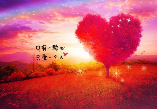 结扎后，老婆和竹马搞上了免费试读 安沁陈默江时明小说