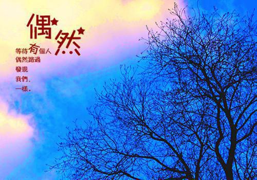 苏若汐琪琪骆黎川全文免费 苏若汐琪琪骆黎川在线阅读