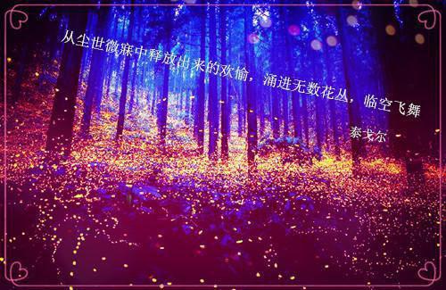 沈辛瑶张郴最新章节免费 沈辛瑶张郴第2章在线阅读