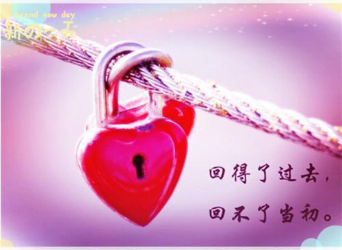 许沫颐陆绍白第1章 许沫颐陆绍白小说免费阅读