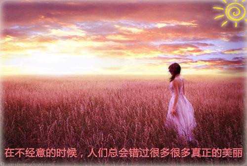 孟听枫浦弘番外（被全家烧死，嫡女浴火重生杀疯了）TXT+后续+结局在线阅读