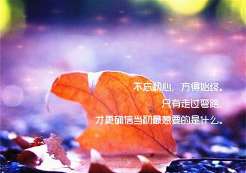 陆寻常雪晴林乔小说名字 亲人之间的血海深仇，让她和陆寻再无可能了章节试读