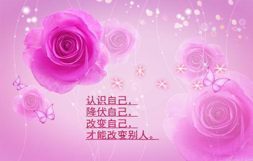 虞瑟林蔓小说叫什么 虞瑟林蔓小说全文免费阅读