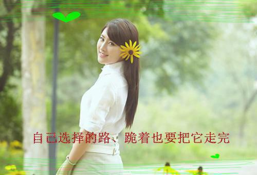 苏凛的小说我成了万年老二苏暖莫雪宁苏凛全文在线阅读