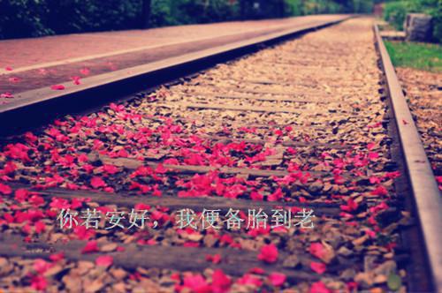 林夏江欢月结局是什么 林夏江欢月免费阅读全文