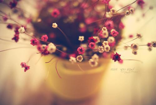 陈晓梅陈昆是哪部小说的主角 陈晓梅陈昆全文阅读