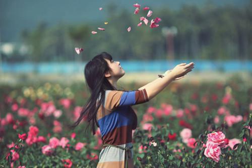 花开终有时，雪落亦无声(完整版)全文免费阅读顾知珩陆姝瑶小说