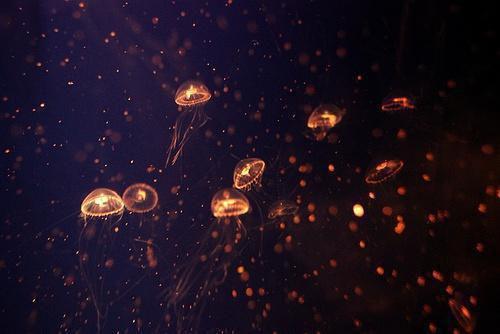季怀瑾孟棠音全文免费阅读最新 季怀瑾孟棠音第十六章