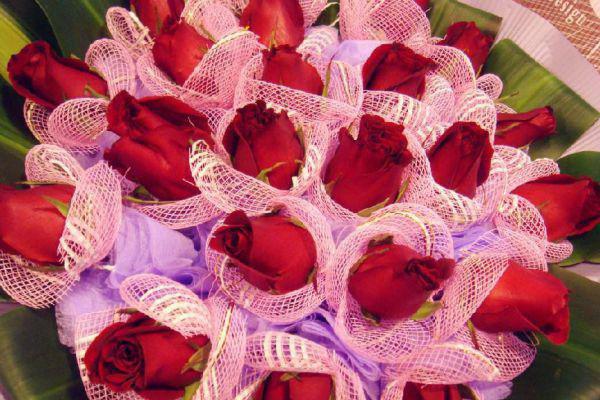 沈书意秦隽哪里可以看 沈书意秦隽免费阅读第6章