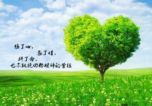 苏池傅西霆免费阅读第2章 苏池傅西霆大结局