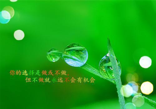 韩东罗夏夏小说全免读 韩东罗夏夏第一章在线阅读