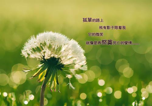 郑樵柳如烟小说章节免费阅读 郑樵柳如烟无弹窗