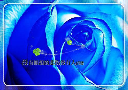 主角沈嫣韩清让小说免费阅读最新章节