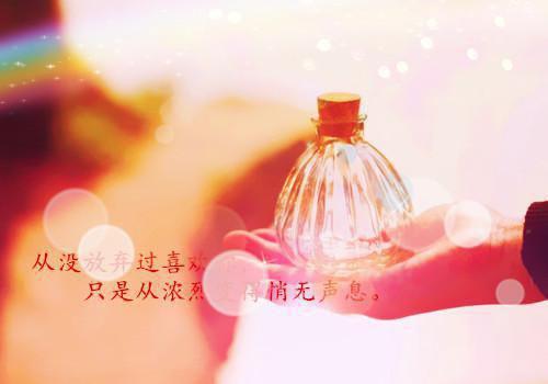 逐云小说 逐云落雪