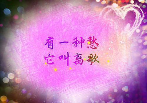 沈向安望舒小说 沈向安望舒免费全文阅读