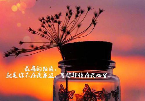 全本同阎王和离后，他杀疯了后续更新（裴恒连枝）最新章节列表_全本同阎王和离后，他杀疯了后续更新全文阅读