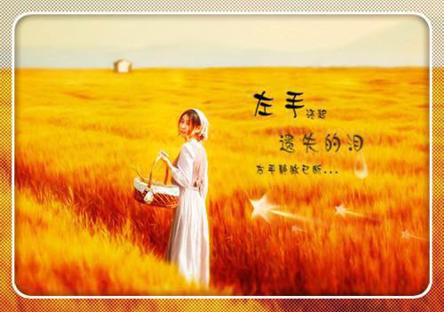 张明宇王翠翠全文免费无弹窗 遗留在大山深处的明珠章节试读