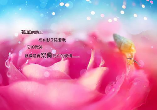 温柠沈煜免费阅读目录 温柠沈煜小说全文