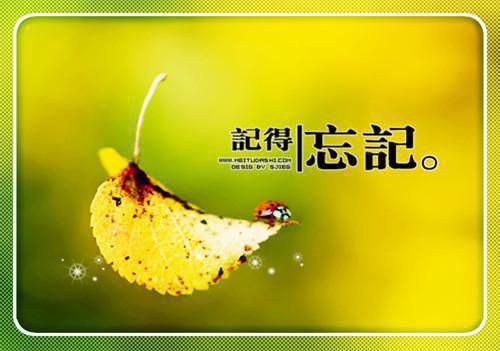 主角是王宸江寒月的小说免费阅读全文大结局