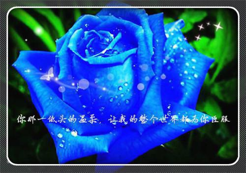女友在游戏里杀我12次后，跪地求我回来+后续全文小说打野林汀小说在线阅读