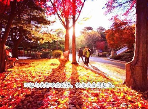 张鹏梁飞龙小说名 校园透视霸王糖水罐头在线阅读