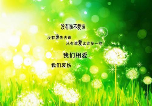 沈知意苏明昭是哪部小说的主角 沈知意苏明昭全文阅读