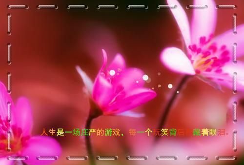 林晚周砚礼小说全文 林晚周砚礼小说免费阅读大结局
