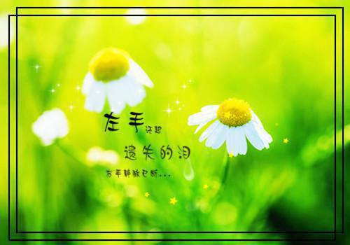 转身即漫漫霜华：+后续+结局免费阅读_（转身即漫漫霜华：+后续+结局免费阅读无弹窗）顾司爵叶诗言最新章节列表笔趣阁（转身即漫漫霜华：+后续+结局）