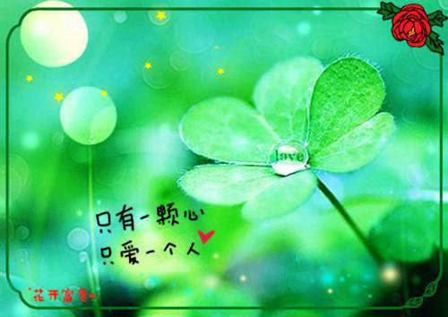 池央央沈序安小说最后结局 池央央沈序安完结版免费阅读