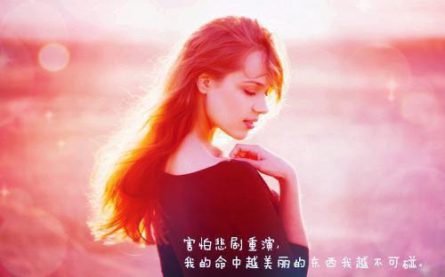 燕王换娶贵女后，悔疯了的小说免费赵书仪沈昭昭白至晟全文免费阅读(已完结)