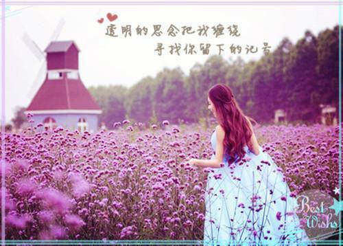 哥哥陪金丝雀，害我和母亲丧命敏琳陆古枝后续更新+番外推荐完本_推荐完本哥哥陪金丝雀，害我和母亲丧命敏琳陆古枝后续更新+番外