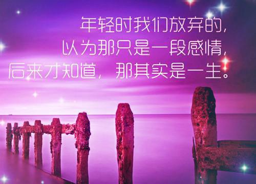 赵婉芷顾成是什么书 赵婉芷顾成免费章节在线阅读